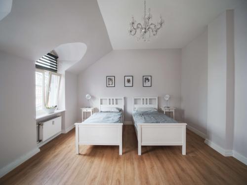 zimmer-8-1-1-1